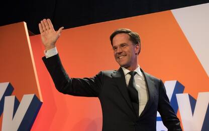 Elezioni in Olanda. I risultati