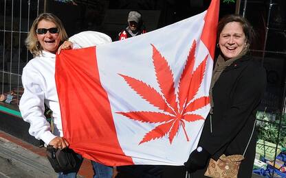 Canada, in arrivo la legalizzazione della marijuana per uso ricreativo