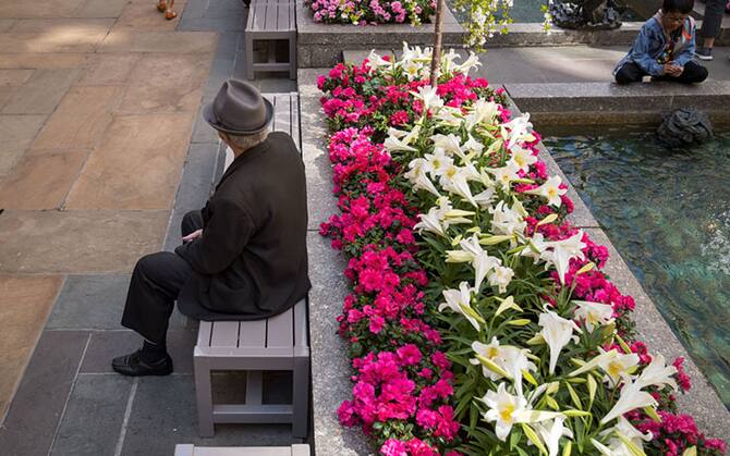 Le decorazioni pasquali di Donnaflora - Donnaflora Garden Center