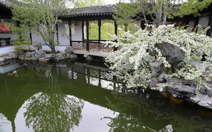 Il giardino cinese di Staten Island 
