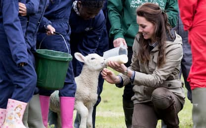 Kate Middleton visita una fattoria