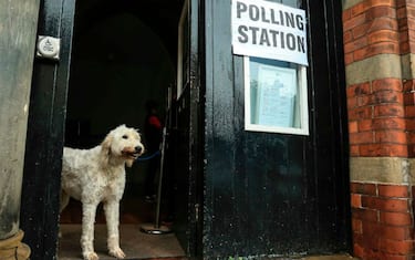 GettyImages-cani_polling_station