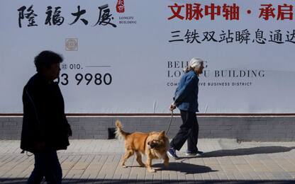 In Cina arriva la politica del "cane unico"