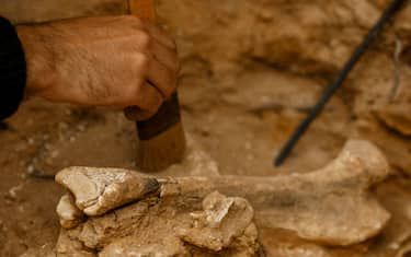 GettyImages-Atapuerca