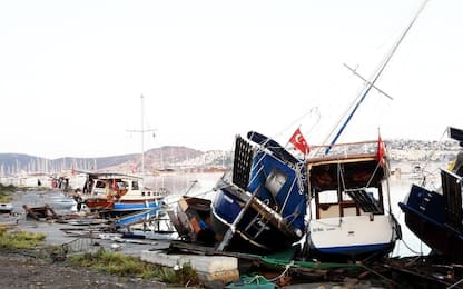 Terremoto tra Grecia e Turchia, Ingv: "Zona sismicamente molto attiva"