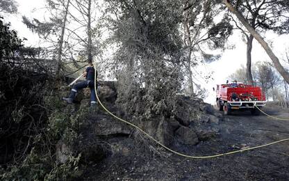Incendi in Francia, in Costa Azzurra situazione "sotto controllo"