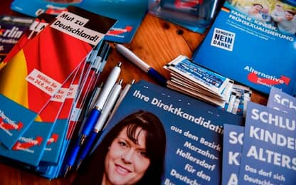 Elezioni in Germania, i sondaggi premiano l'ultradestra dell'Afd