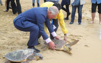 A Malta il principe Carlo in difesa degli oceani e delle tartarughe