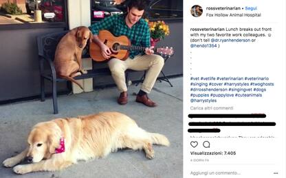 Usa, il veterinario che suona la chitarra per i cani: video