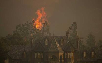 California, oltre 40 le vittime degli incendi