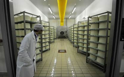 La Cina riapre le porte a gorgonzola e formaggi erborinati italiani