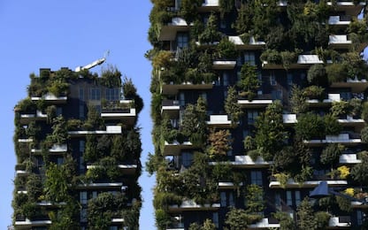 Architettura, anche Parigi avrà il suo Bosco Verticale