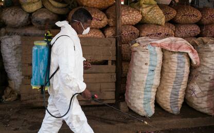 Madagascar, dilaga la peste: oltre 100 morti