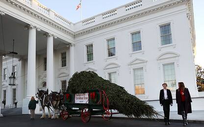 L'albero di Natale alla Casa Bianca