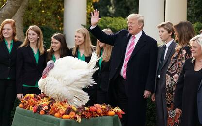 Giorno del Ringraziamento, Trump grazia due tacchini alla Casa Bianca