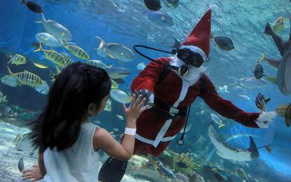 Babbo Natale subacqueo a Manila
