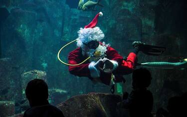 Babbo Natale nell'acquario di Parigi