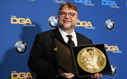 Directors Guild Awards, vince Guillermo del Toro 
