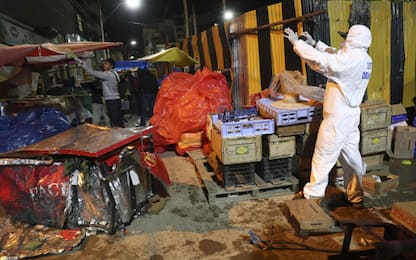 Bolivia: bombola di gas esplode a sfilata di Carnevale, almeno 6 morti