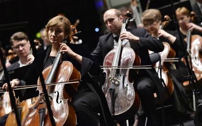 Parigi, violoncello da oltre un milione di euro rubato a musicista