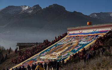 Tibet, tra i ghiacci le prove di antiche foreste subtropicali