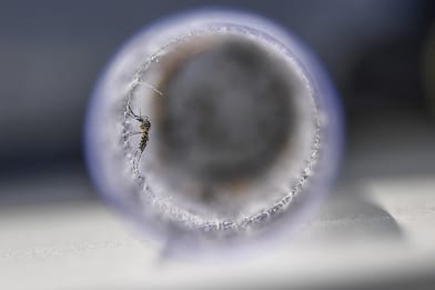 Cina, esperti al lavoro su un radar anti-zanzare