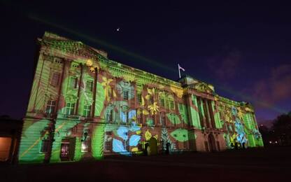 Buckingham Palace si colora di verde