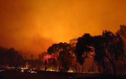 Incendio vicino a Sydney, le immagini della foresta che brucia. VIDEO
