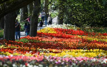 Agenzia_Fotogramma_mainau2