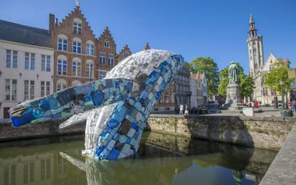 Triennale a Bruges con balena gigante