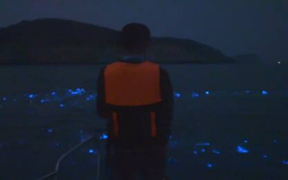 Bioluminescenza alle isole di Matsu: gioco di luci delle alghe in mare