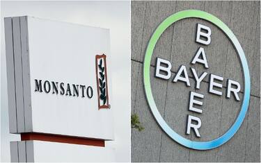 Bayer patteggia 10 miliardi per le cause contro il diserbante Roundup