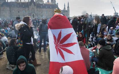 Il Canada legalizza la marijuana per uso ricreativo
