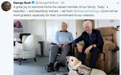 Usa, George H.W. Bush presenta "Sully", il suo nuovo labrador 