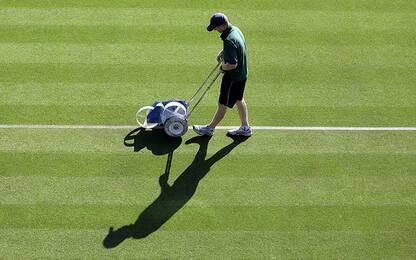 Wimbledon: campi del tempio del tennis