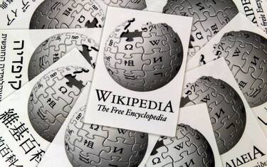 wikipedia_ansa