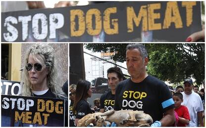 Protesta consumo carne cane