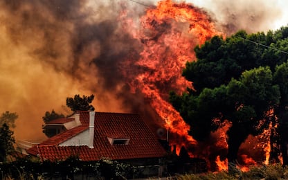 Incendi vicino Atene: decine di morti