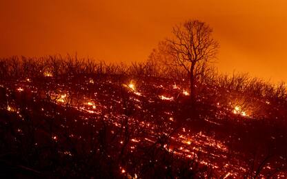California in fiamme, è il più vasto incendio della sua storia