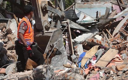 Terremoto in Indonesia, i morti salgono a 347. Soccorritori al lavoro
