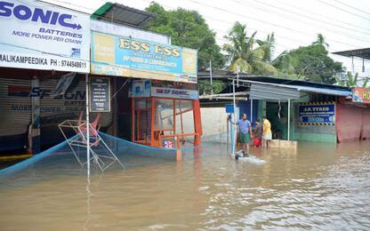 India, inondazioni Kerala: 400 morti