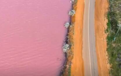 Australia, le spettacolari immagini del lago rosa. VIDEO
