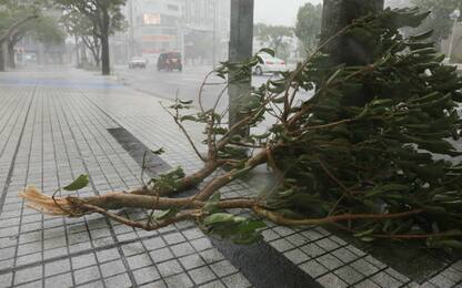 Nuovo tifone sul Giappone
