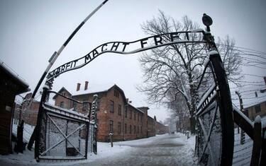 auschwitz-getty