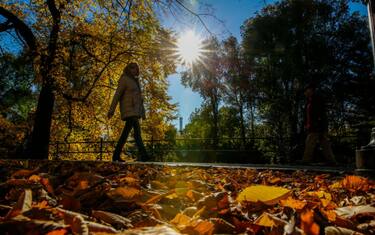 GettyImages-Central_Park_autunno_5