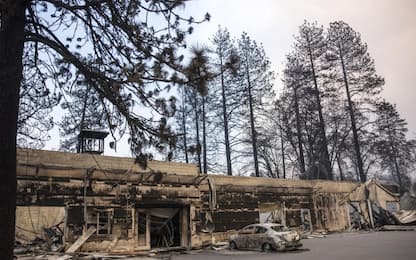 Incendi in California: il bilancio sale a 31 morti e 228 dispersi
