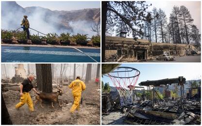Incendi in California: 31 morti e 228 dispersi