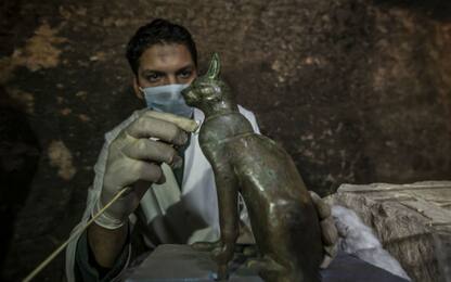 Egitto, scoperta una necropoli di animali mummificati a Saqqara