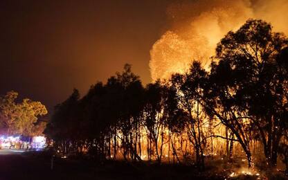 L'Australia brucia, seconda settimana di incendi: 110 roghi