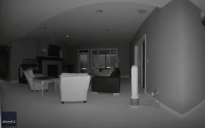 Terremoto Alaska, le immagini della scossa in un appartamento. VIDEO